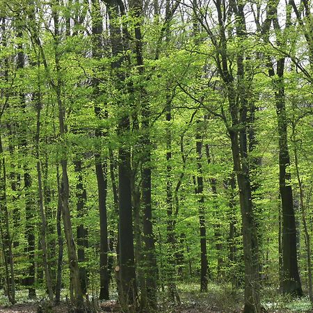 Ferienwohnungen Fischer Strullendorf Extérieur photo